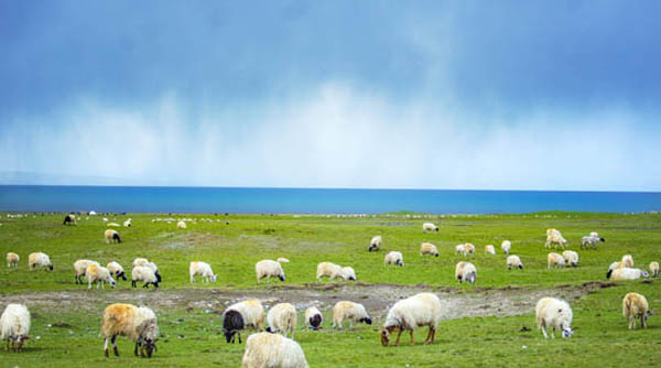 內(nèi)蒙古旅游