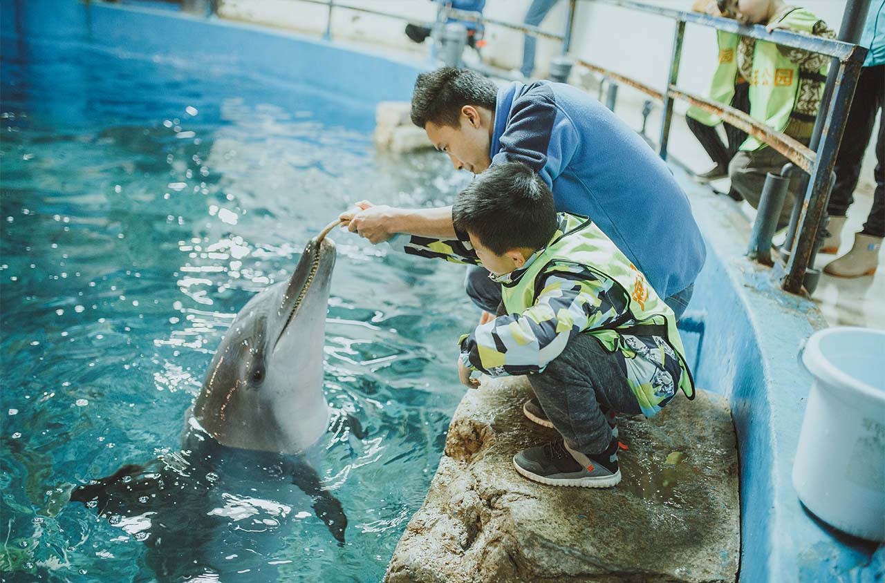 重慶市內(nèi)旅游