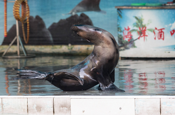 珠海長隆海洋王國旅游