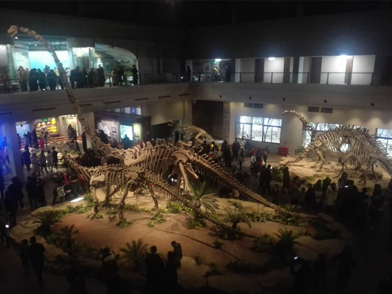 恐龍博物館 恐龍博物館