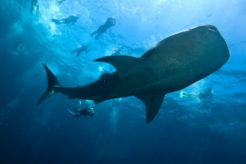 馬爾代夫太陽(yáng)島12 馬爾代夫太陽(yáng)島12