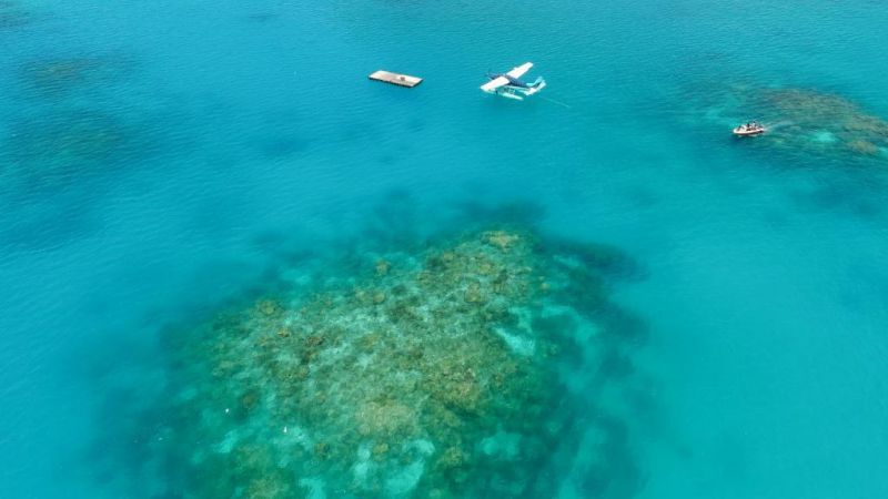 馬爾代夫太陽(yáng)島3 馬爾代夫太陽(yáng)島3