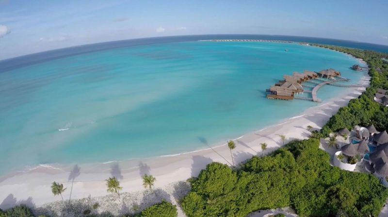 馬爾代夫神仙珊瑚2