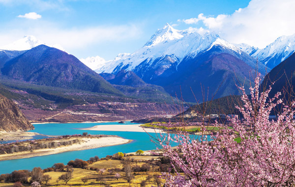 惠游西藏拉薩(布達(dá)拉宮+大昭寺)+林芝(巴松措+卡定溝)+西寧(青海湖)青藏連線(xiàn)有氧列車(chē)12日游（專(zhuān)列旅游）