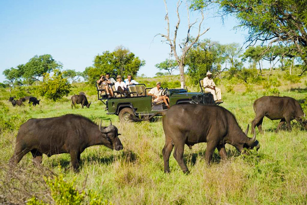肯尼亞 10 天觀(guān)看野生動(dòng)物特色之旅（長(zhǎng)沙直飛，可配全國(guó)聯(lián)運(yùn)）