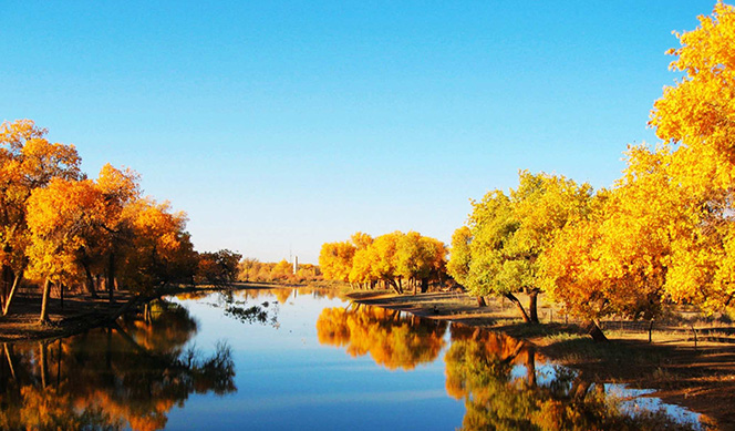 2019082307 2019082307