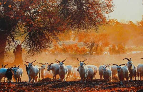 2019082301 2019082301