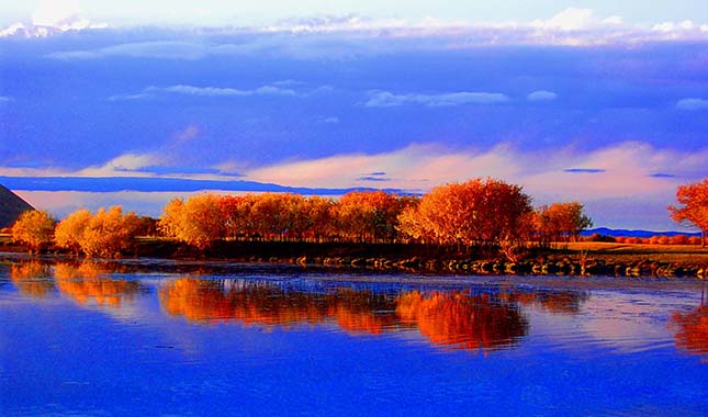 2019082302 2019082302