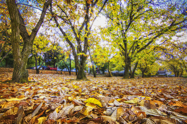 云南昆明、瑞麗、芒市、花滿(mǎn)騰沖6日純玩游