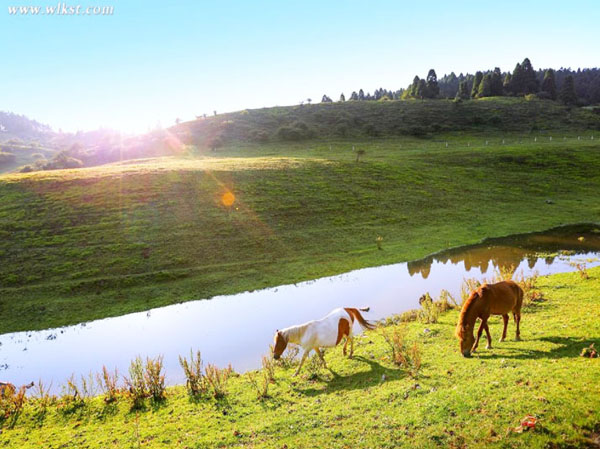 秘境武隆仙女山、天生三橋、龍水峽地縫、烏江畫(huà)廊2日游（2-8 人精品小團(tuán)）