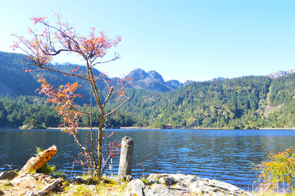 西昌螺髻山007 西昌螺髻山007