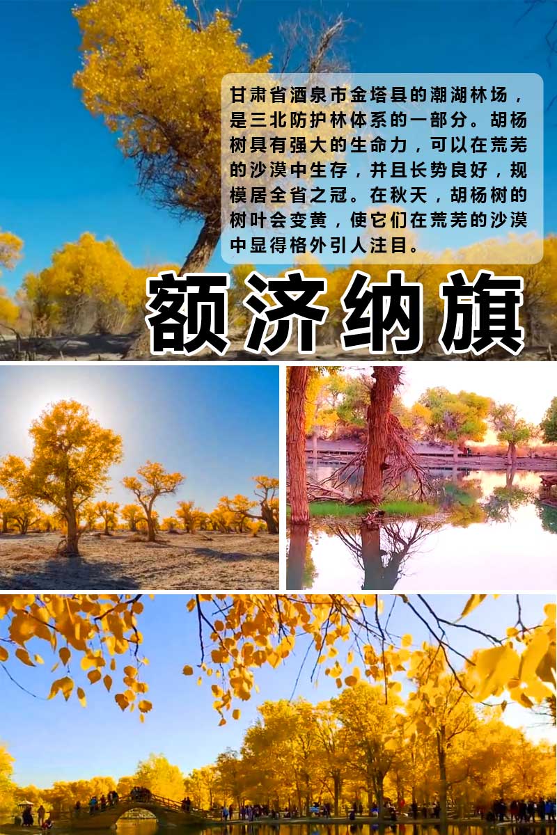 敦煌額濟(jì)納旗 敦煌額濟(jì)納旗